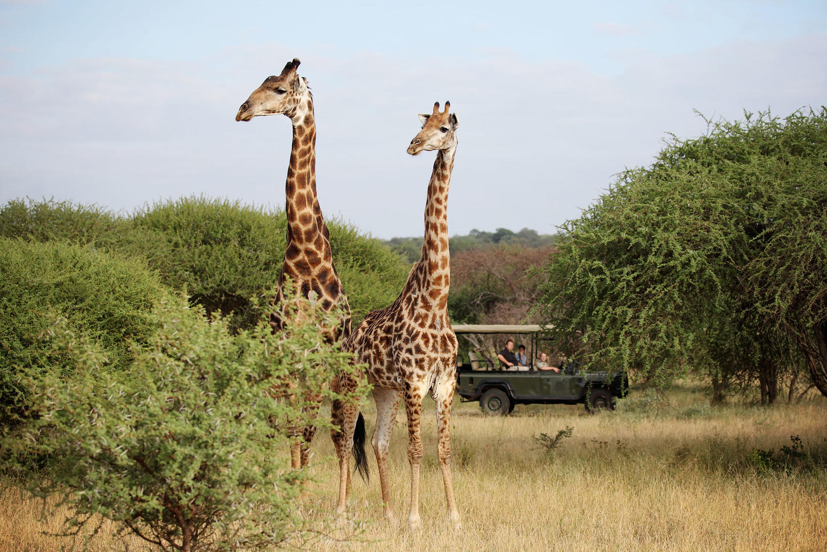 Kruger Park Safari Reservations