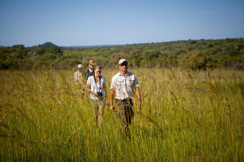 Walking Safari Offers