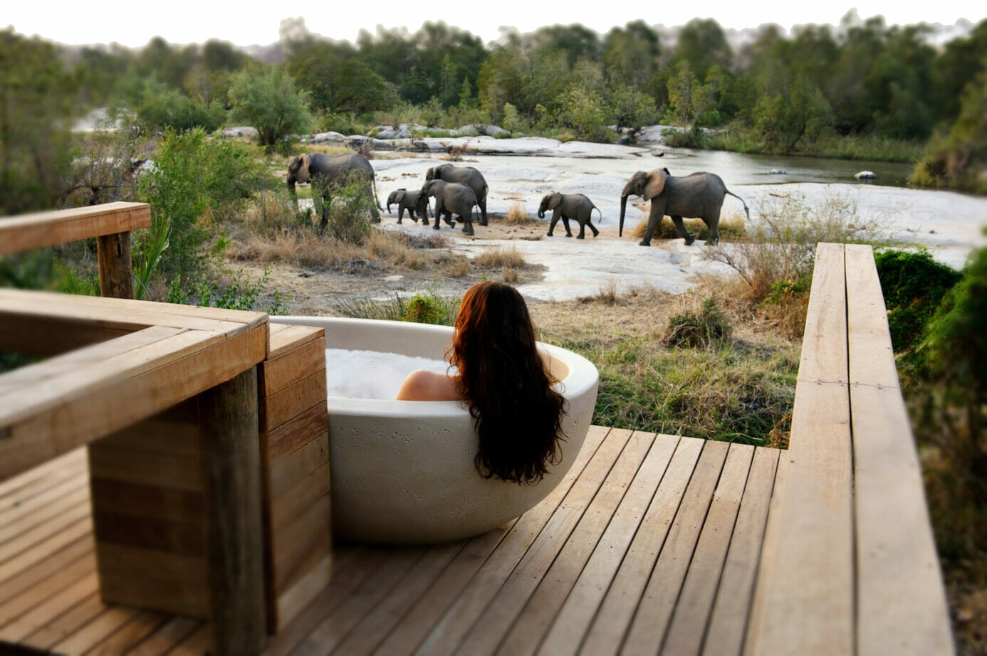 Honeymoon Safari Offers